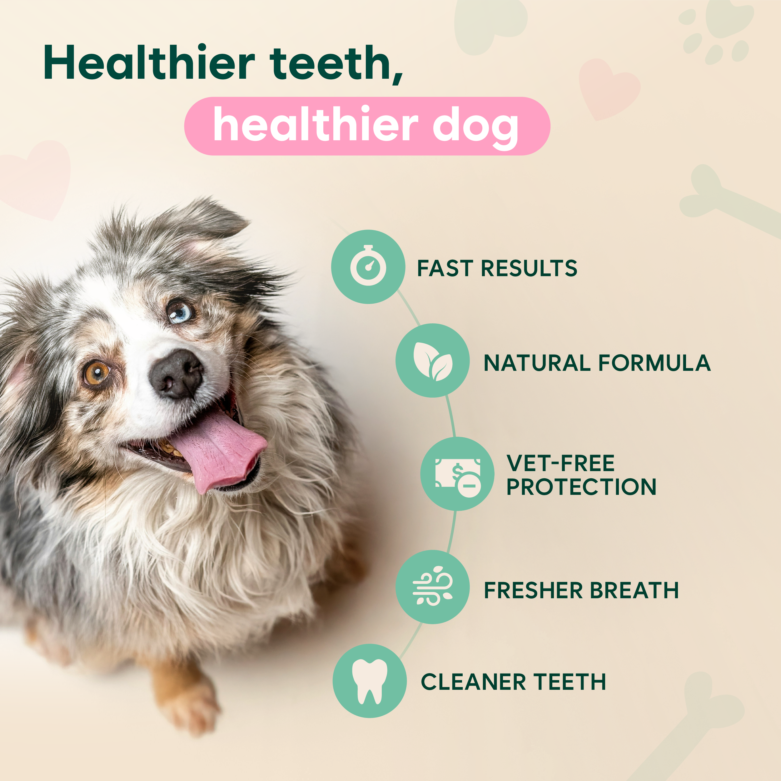 ANNRAIC® - Pet Oral Care: Fresh Kisses, Healthy Gums, Happy Life