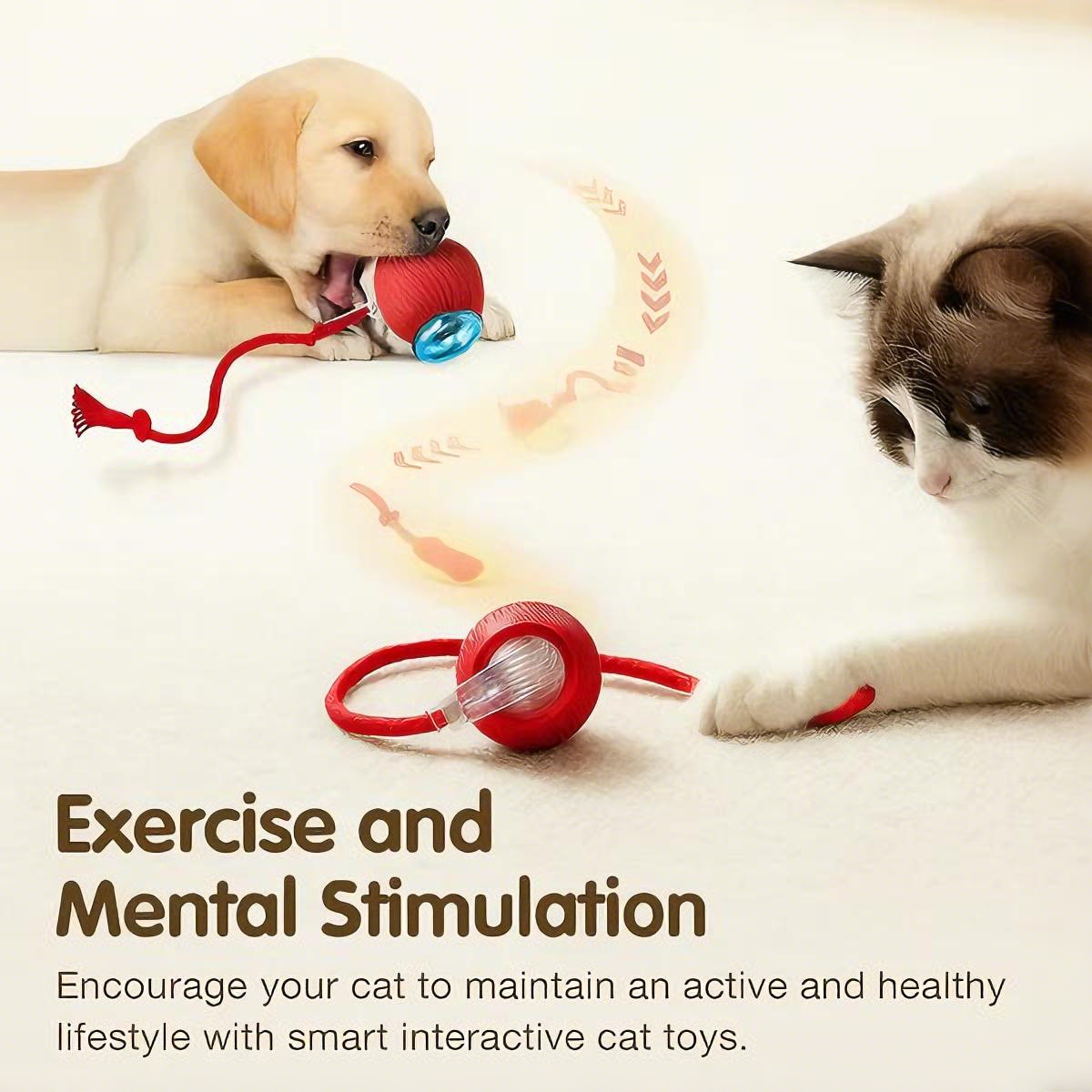 🐶 Pet Moving Ball 🐱 That Keeps Pets Active & Happy — Automatically
