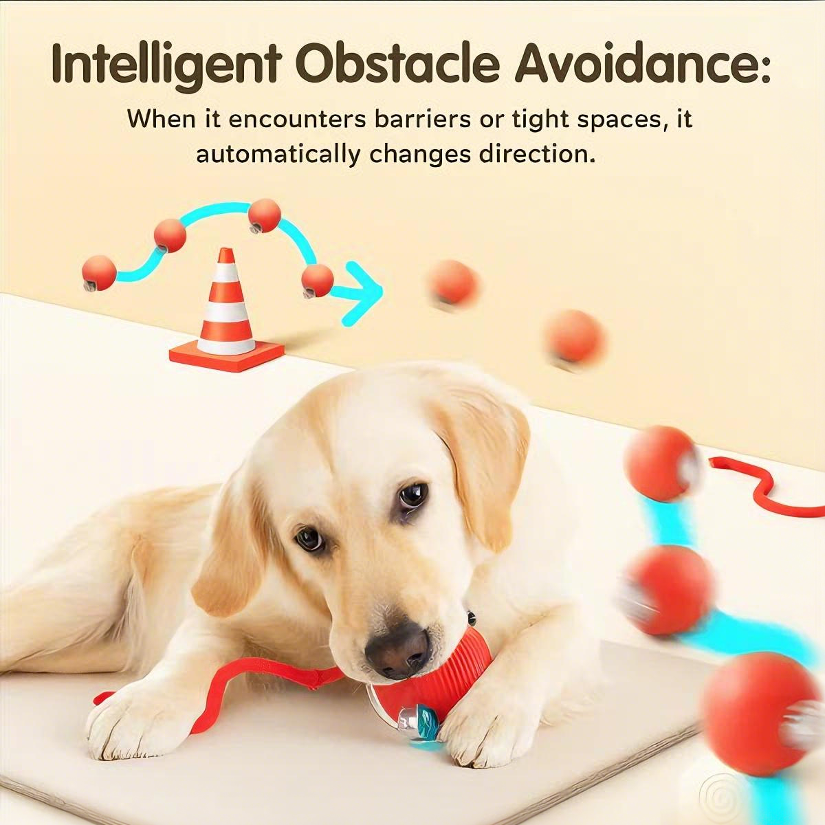 🐶 Pet Moving Ball 🐱 That Keeps Pets Active & Happy — Automatically