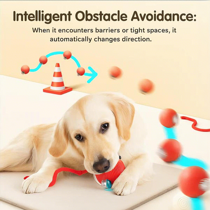 🐶 Pet Moving Ball 🐱 That Keeps Pets Active & Happy — Automatically