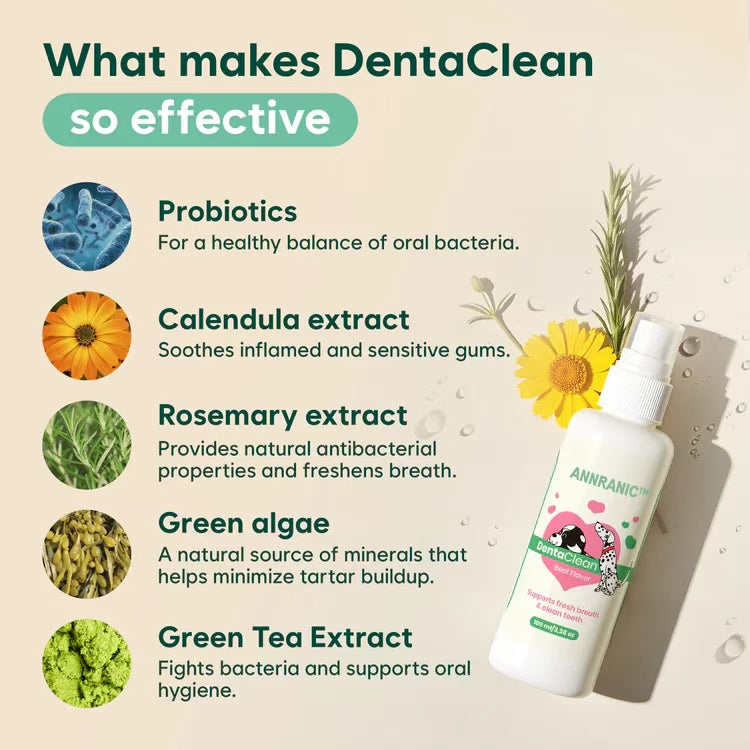 ANNRAIC® - Pet Oral Care: Fresh Kisses, Healthy Gums, Happy Life