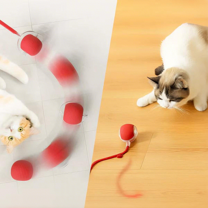 🐶 Pet Moving Ball 🐱 That Keeps Pets Active & Happy — Automatically