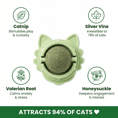 4-in-1 Feline Therapy Ball