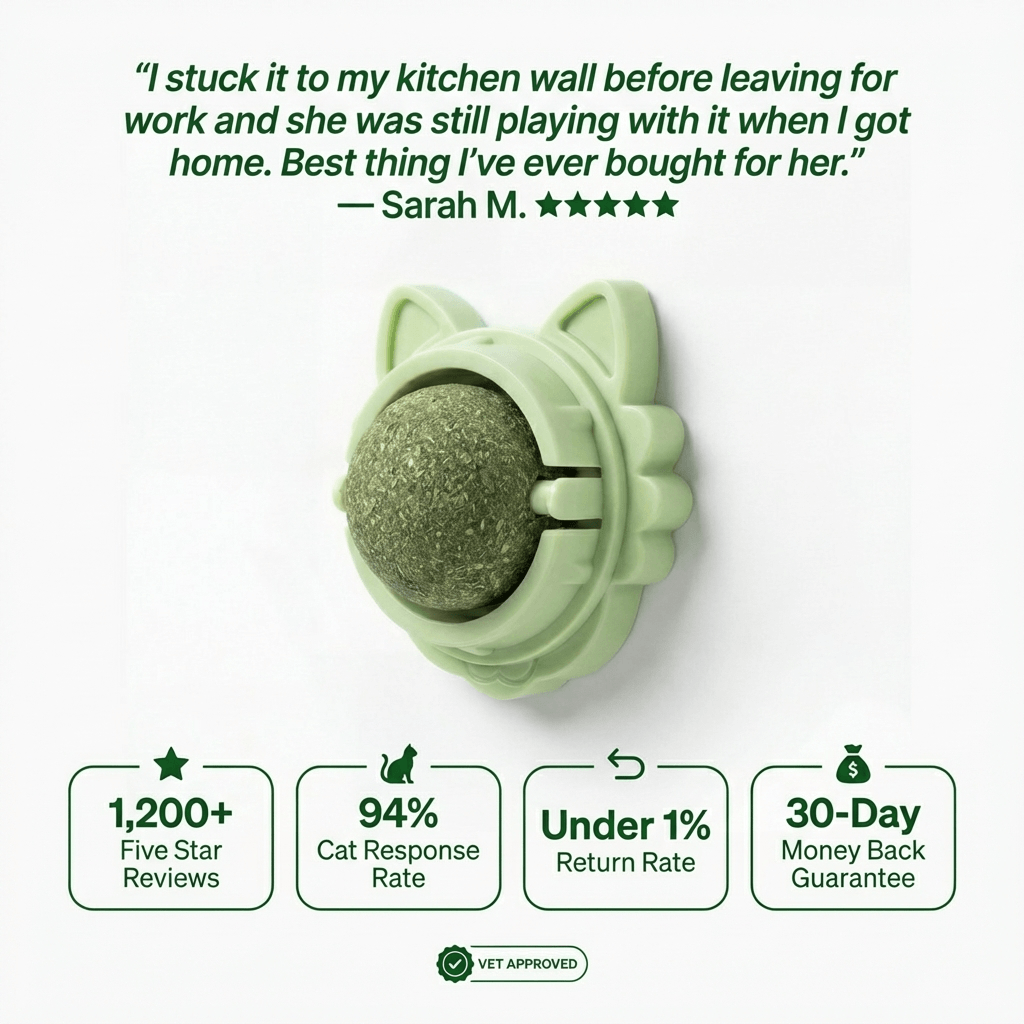 4-in-1 Feline Therapy Ball