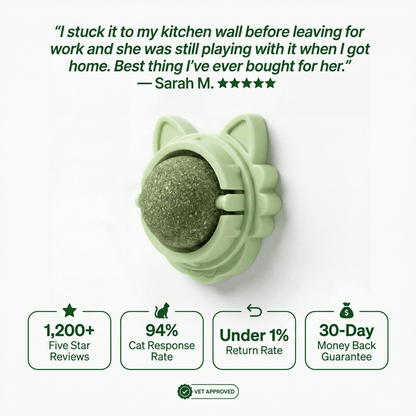 4-in-1 Feline Therapy Ball