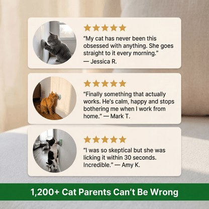 4-in-1 Feline Therapy Ball